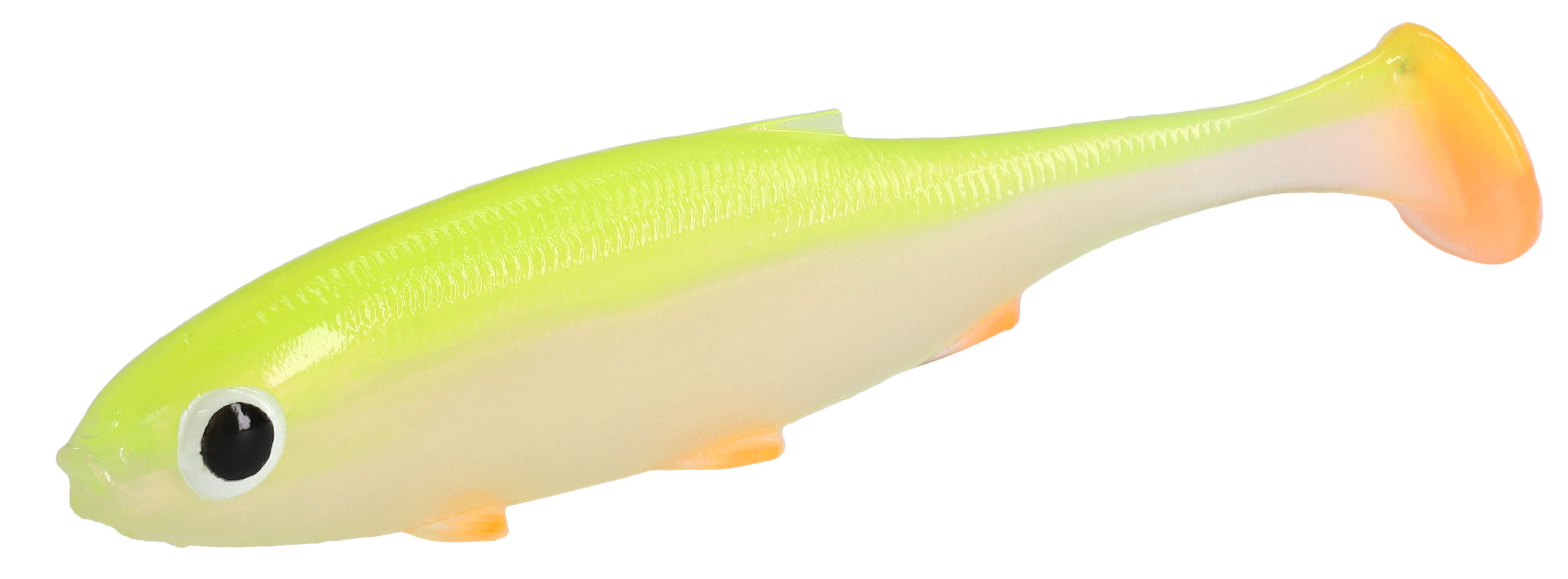 NÁSTRAHA - PERFECT ROACH 10cm/LIME BACK - 4 ks