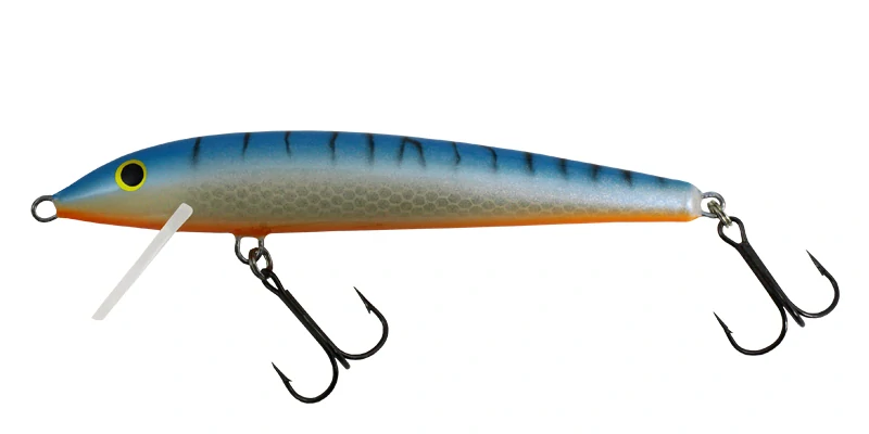 Gloog Nike 100 TB