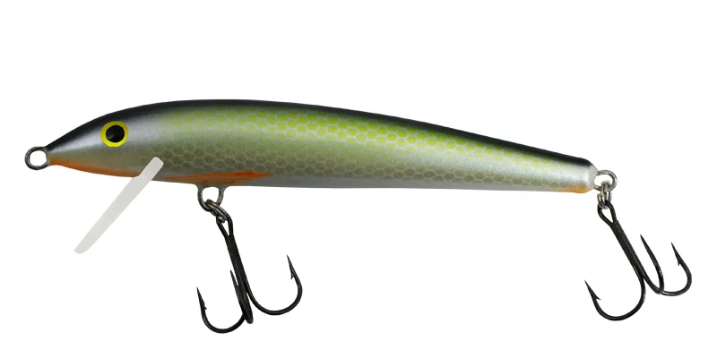 Gloog Nike 100 RGF
