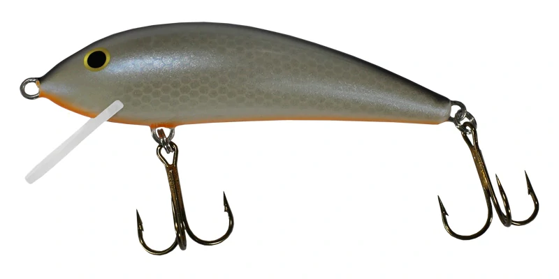Gloog KALIPSO 80 NP1