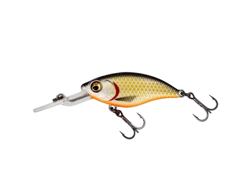 BUZZBITE DR CRANKBAIT 6.5CM 14G FLOATING OFFICIAL ROACH