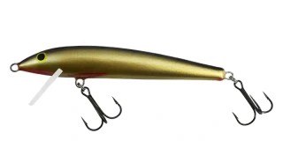 Gloog Nike 80 NG